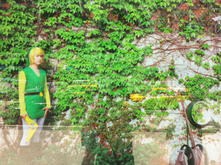 link fashion
