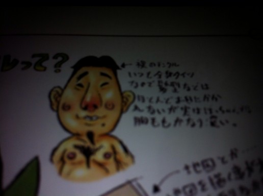 Hyrule Historia
