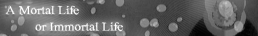A Mortal Life or Immortal Life A Mortal Life or Immortal Life