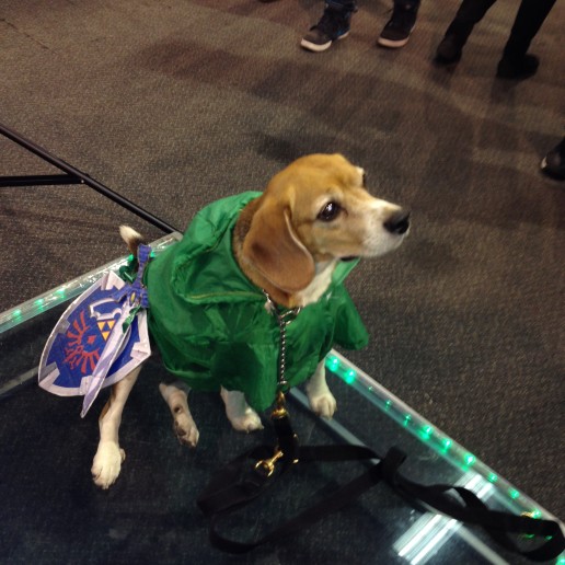 link_puppy_by_angiexkitties-d6ui8fg