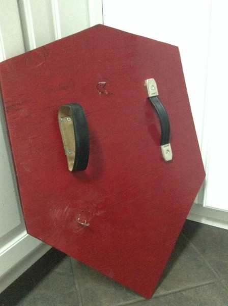 mirrorshield6