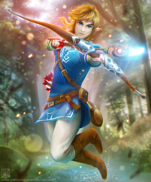 Zelda Wii U Link