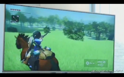 ZeldaU-Link-cloak