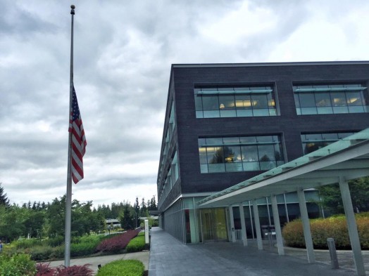 nintendo-america-flag