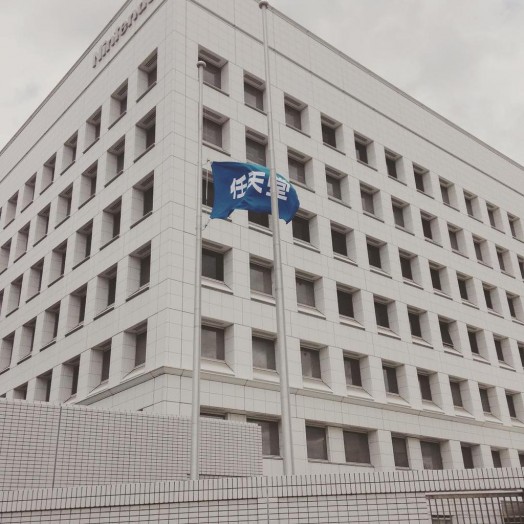 nintendo-japan-flag