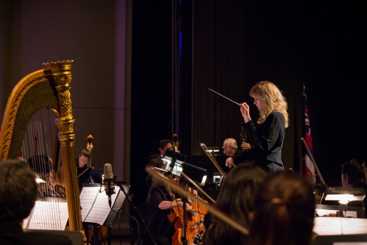 075_HSO zelda